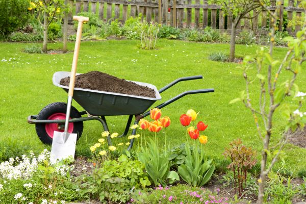 Spring Yard Renovation in Snohomish