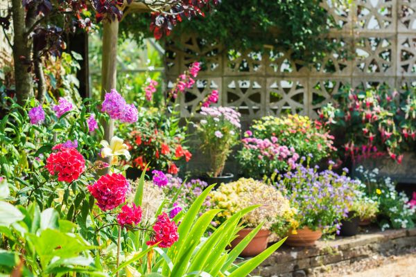 Spring Garden Maintenance in Snohomish