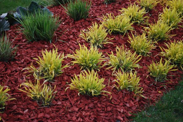 Red Mulch Installation in Snohomish