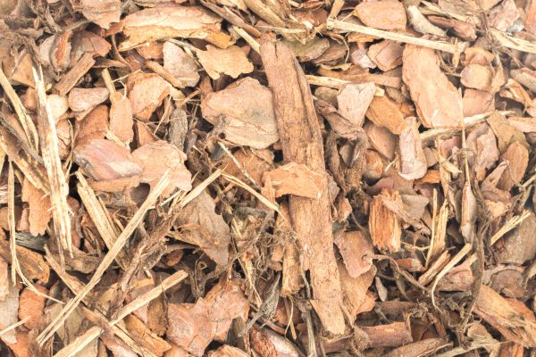 Bark Mulch Installation in Snohomish