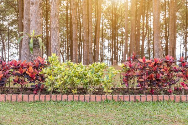 Small Garden Landscaping in Snohomish