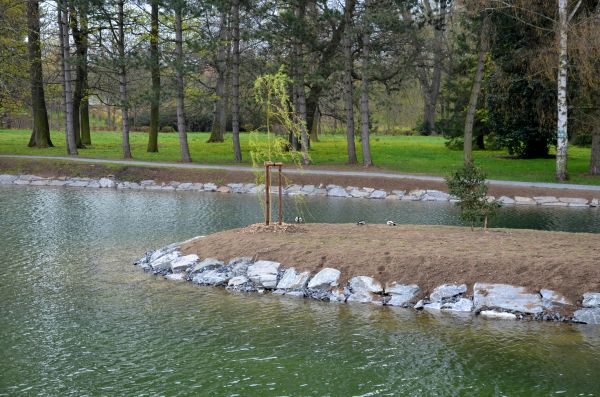 Pond Landscaping Service in Snohomish