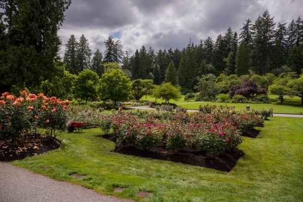Flower Garden Landscaping in Snohomish