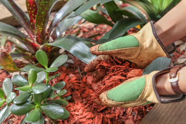Residential Mulching in Snohomish