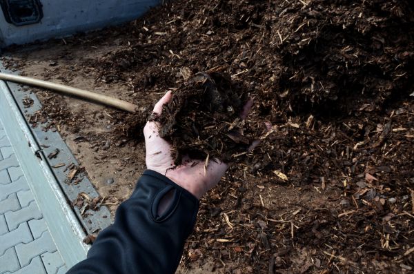 Condo Mulching in Snohomish