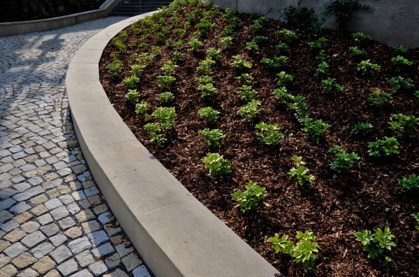 Commercial Mulching in Snohomish