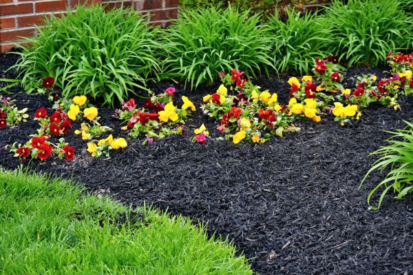 Apartment Mulching in Snohomish