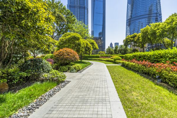 Commercial Landscaping in Snohomish