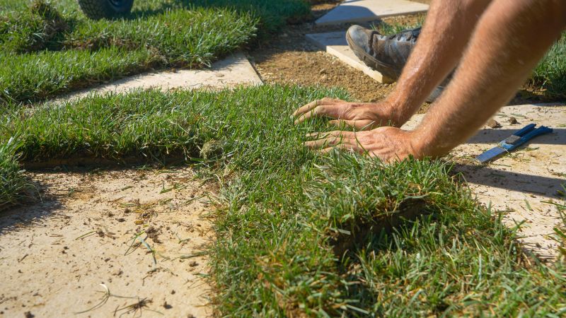 Lawn Repair Service detail