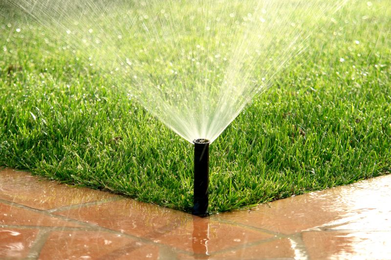 Lawn Sprinkler in Winter