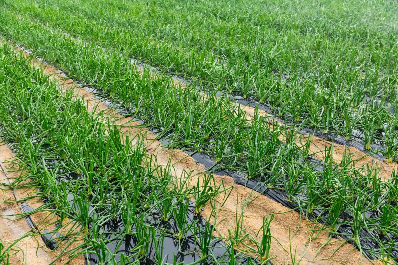 Perennial Landscaping