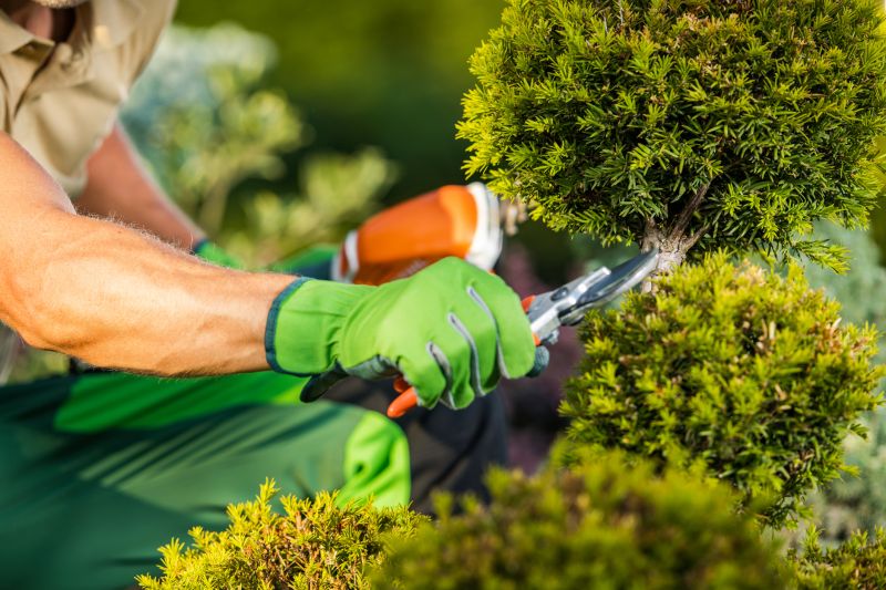 Tree and Shrub Care Providers